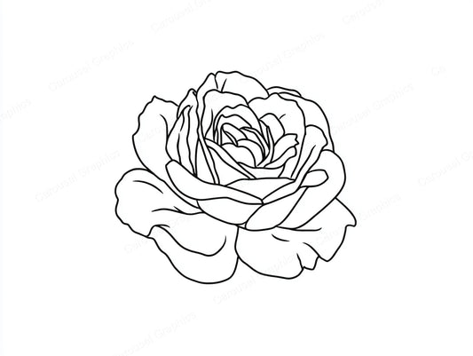 Rose Vector Graphic preview