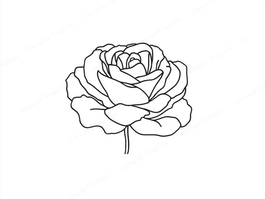 Rose Vector Graphic preview
