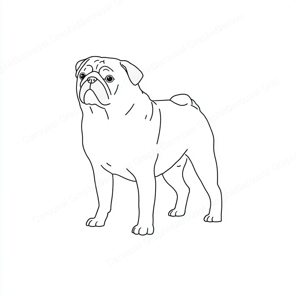 Pug Vector Graphic preview