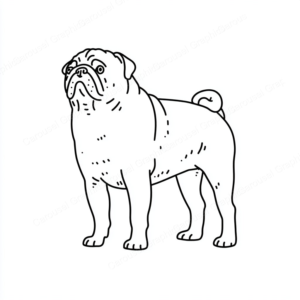 Pug Vector Graphic preview