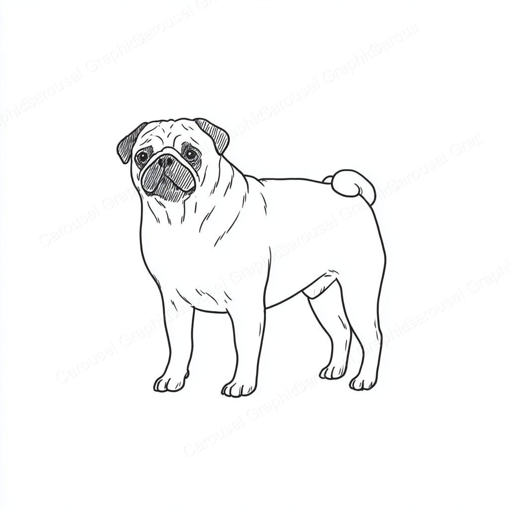 Pug Vector Graphic preview