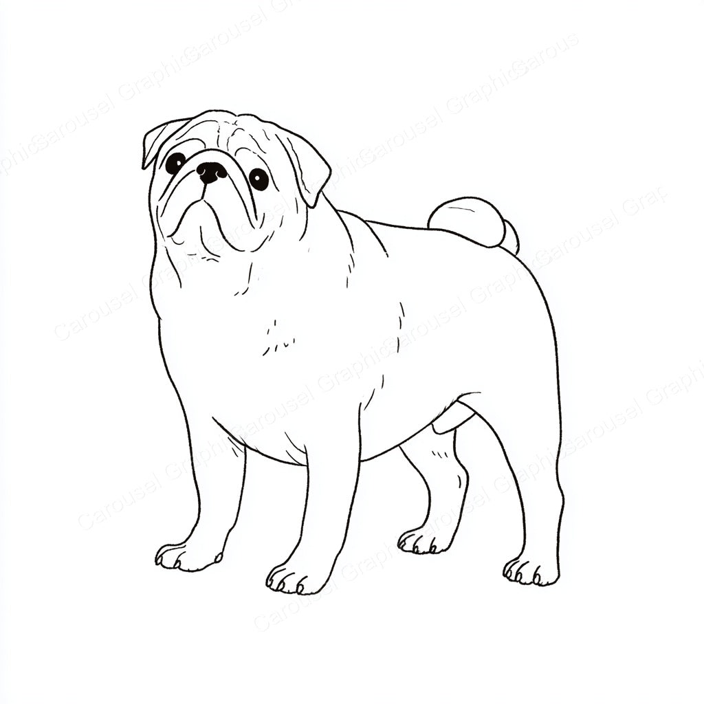 Pug Vector Graphic preview