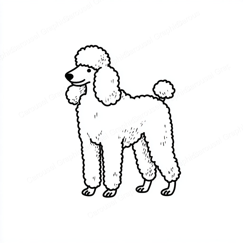 Poodle Vector Graphic preview