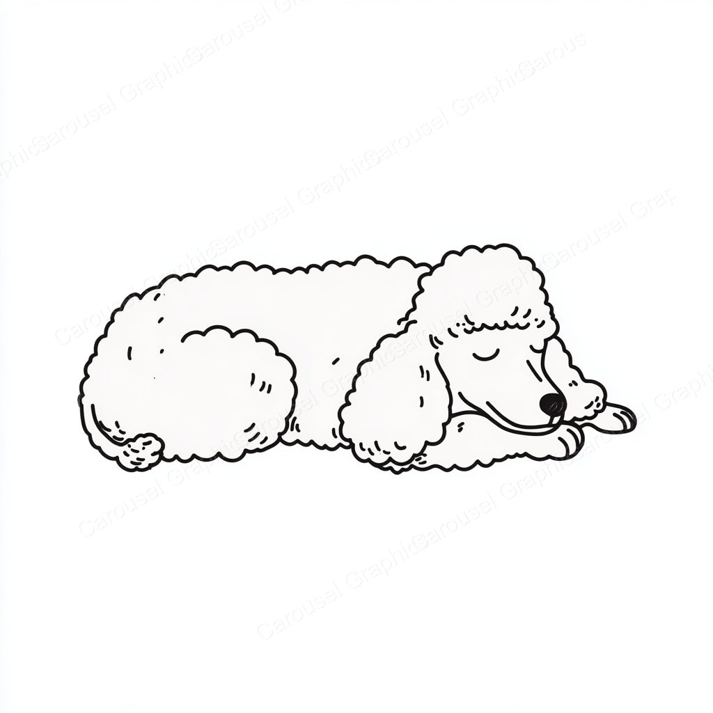 Poodle Vector Graphic preview