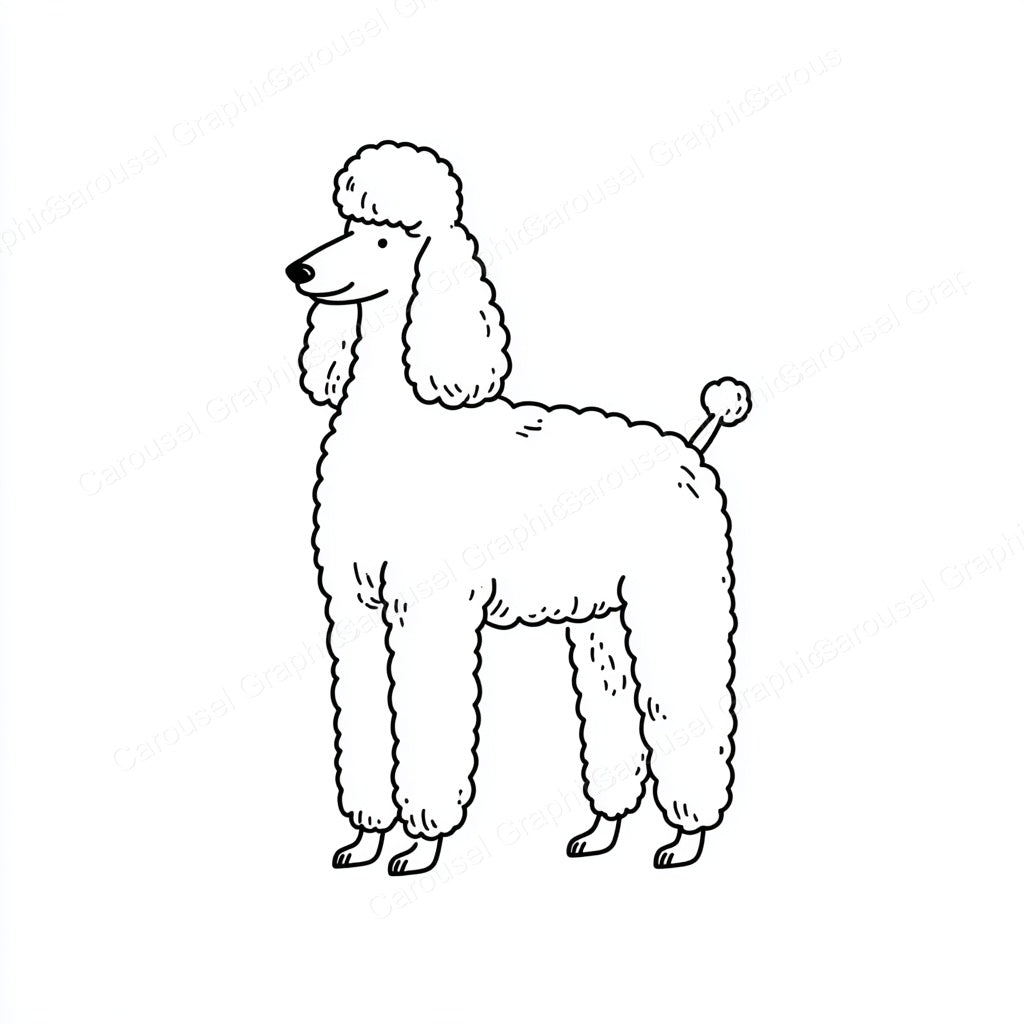 Poodle Vector Graphic preview