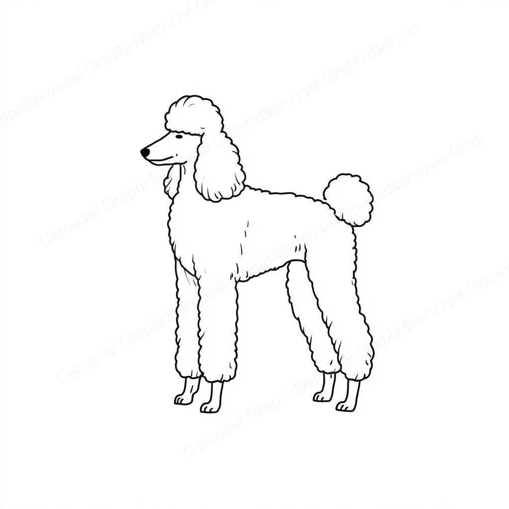 Poodle Vector Graphic preview