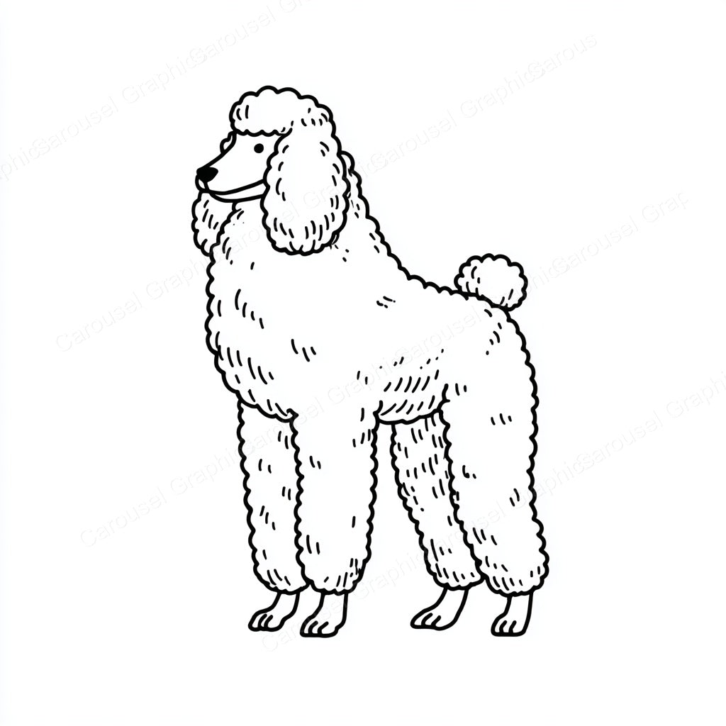 Poodle Vector Graphic preview