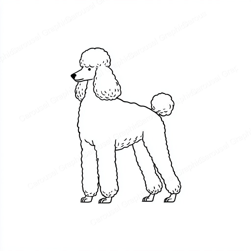 Poodle Vector Graphic preview
