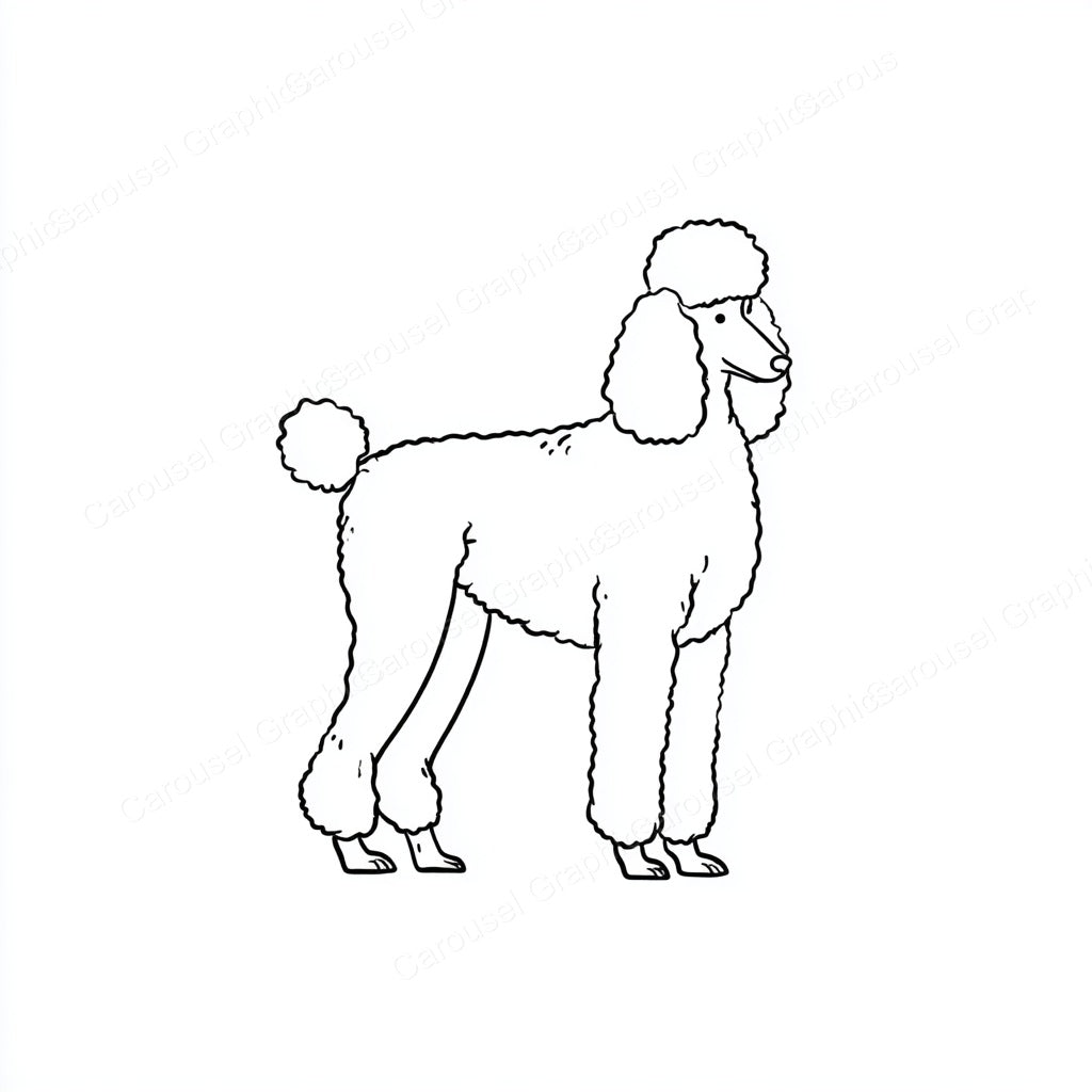 Poodle Vector Graphic preview