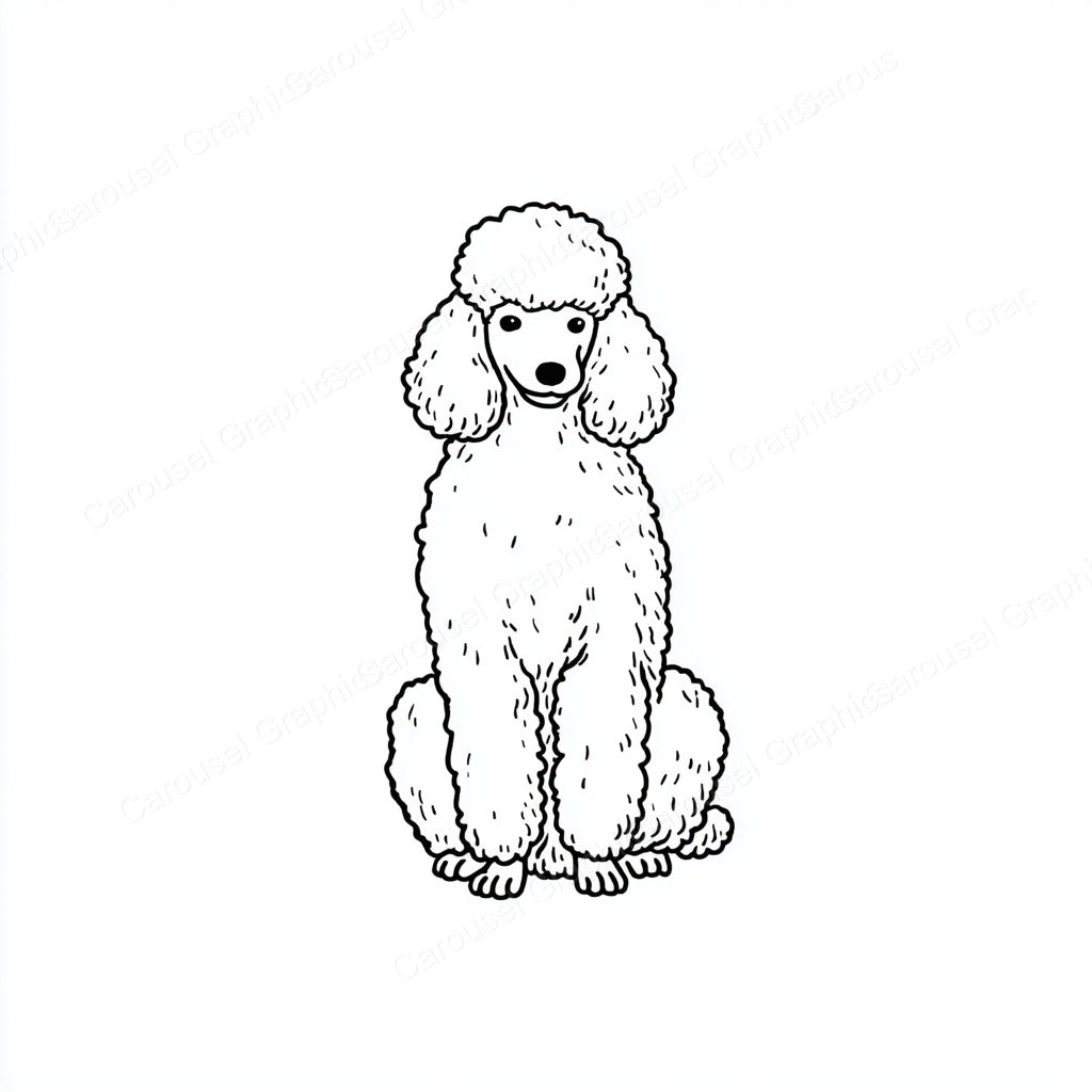 Poodle Vector Graphic preview