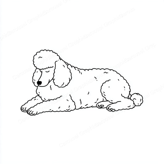 Poodle Vector Graphic preview