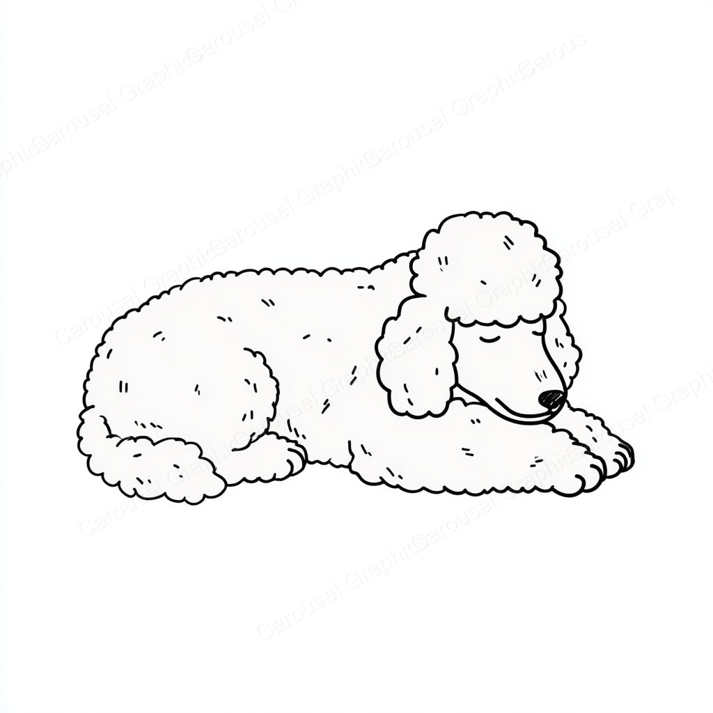 Poodle Vector Graphic preview