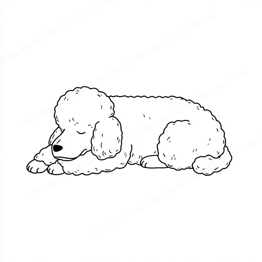 Poodle Vector Graphic preview