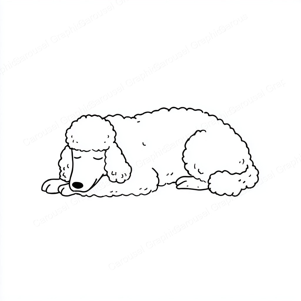 Poodle Vector Graphic preview