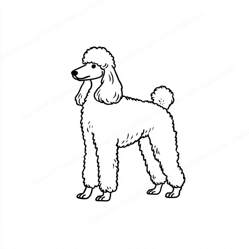 Poodle Vector Graphic preview