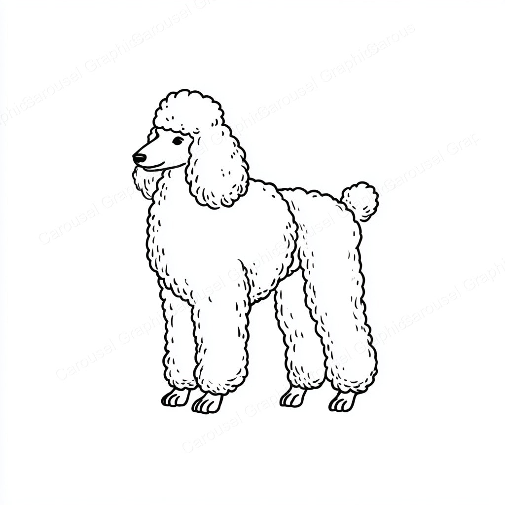 Poodle Vector Graphic preview
