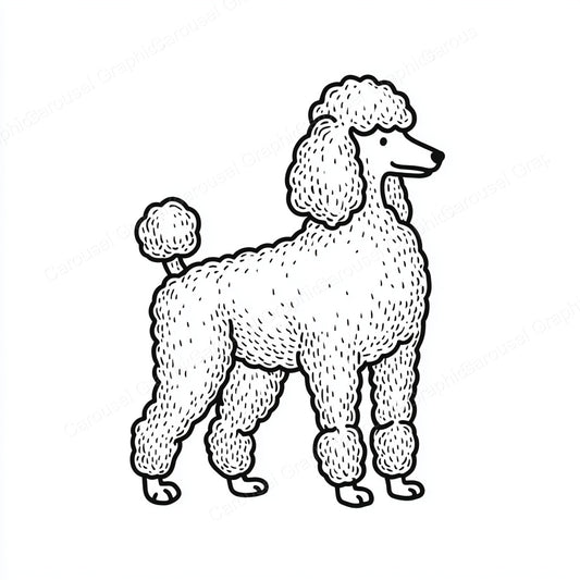 Poodle Vector Graphic preview