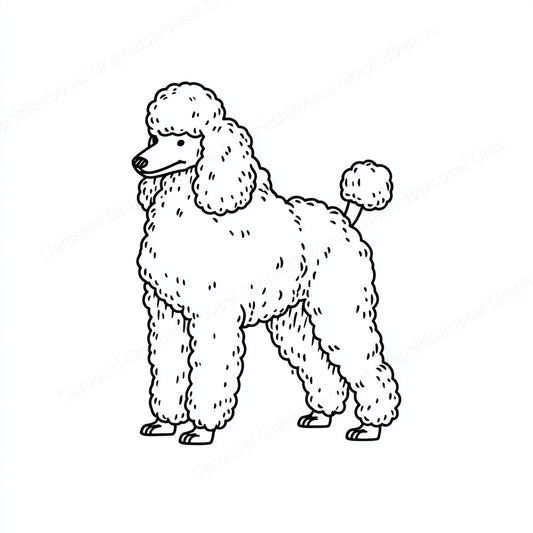Poodle Vector Graphic preview