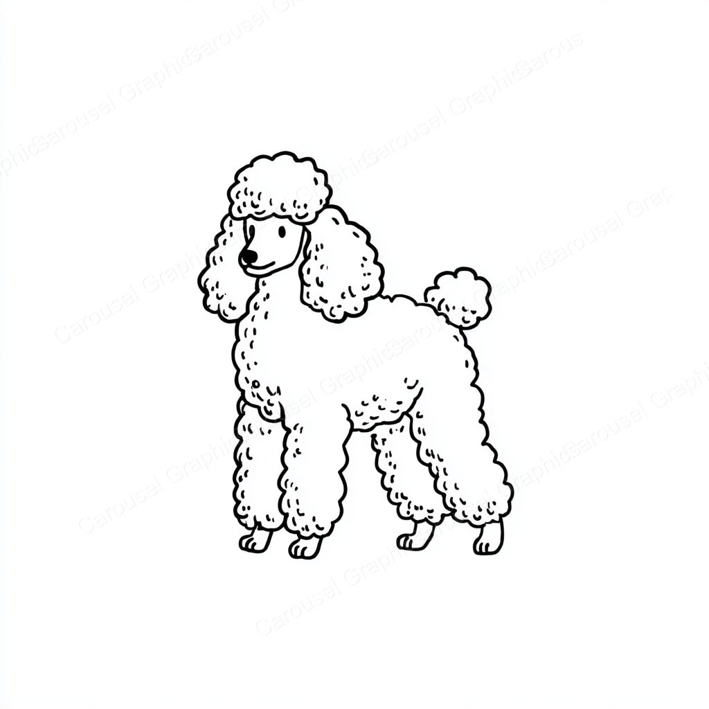 Poodle Vector Graphic preview