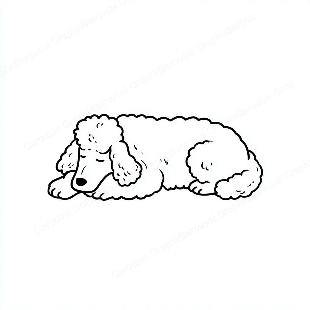 Poodle Vector Graphic preview