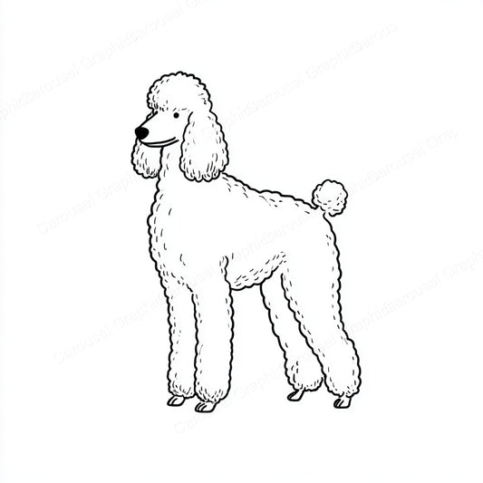Poodle Vector Graphic preview