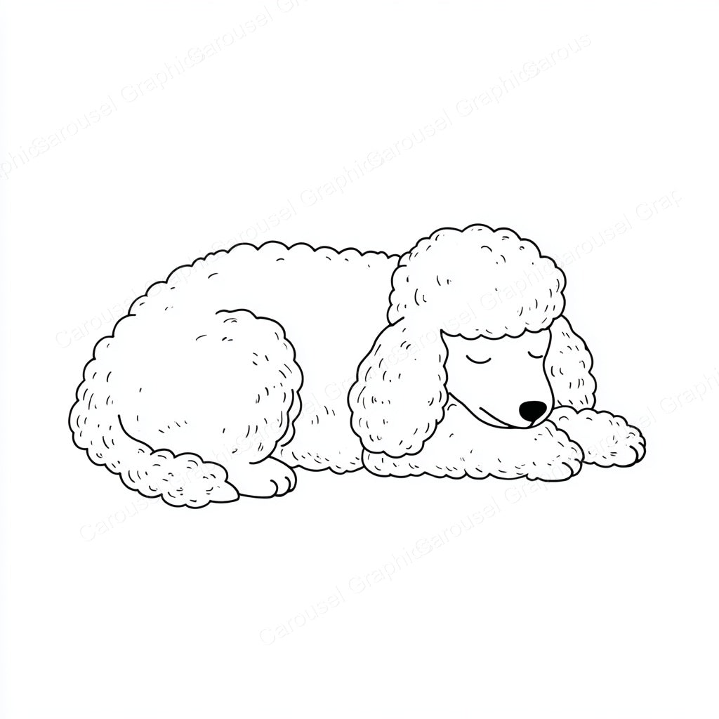 Poodle Vector Graphic preview