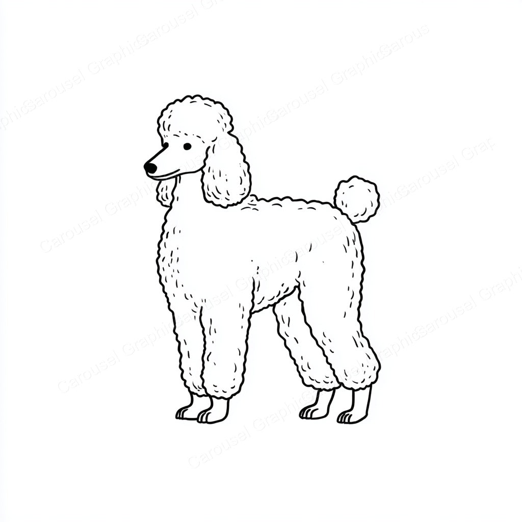 Poodle Vector Graphic preview