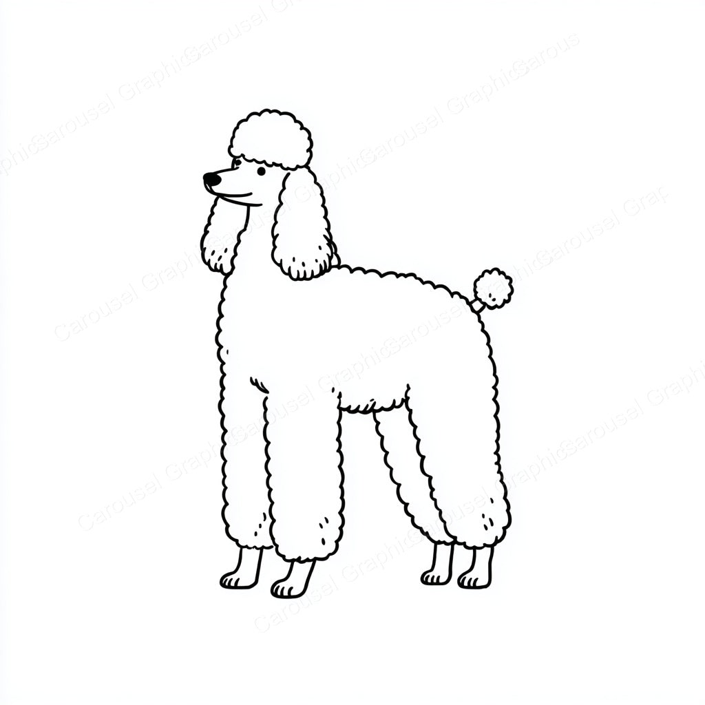 Poodle Vector Graphic preview