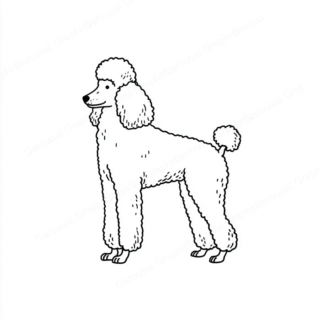 Poodle Vector Graphic preview