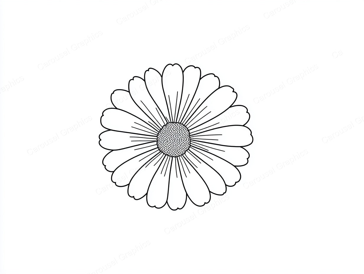 Daisy Vector Graphic preview