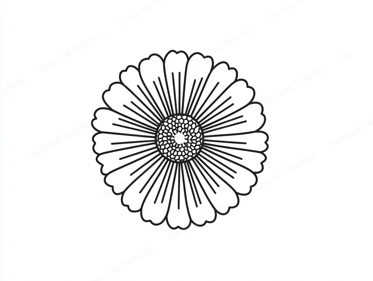 Daisy Vector Graphic preview