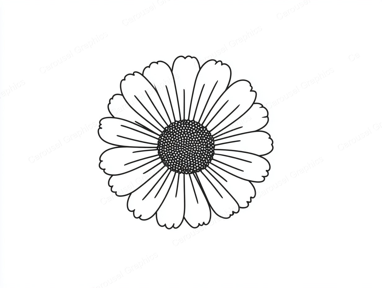 Daisy Vector Graphic preview