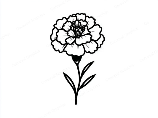 Marigold Vector Graphic preview