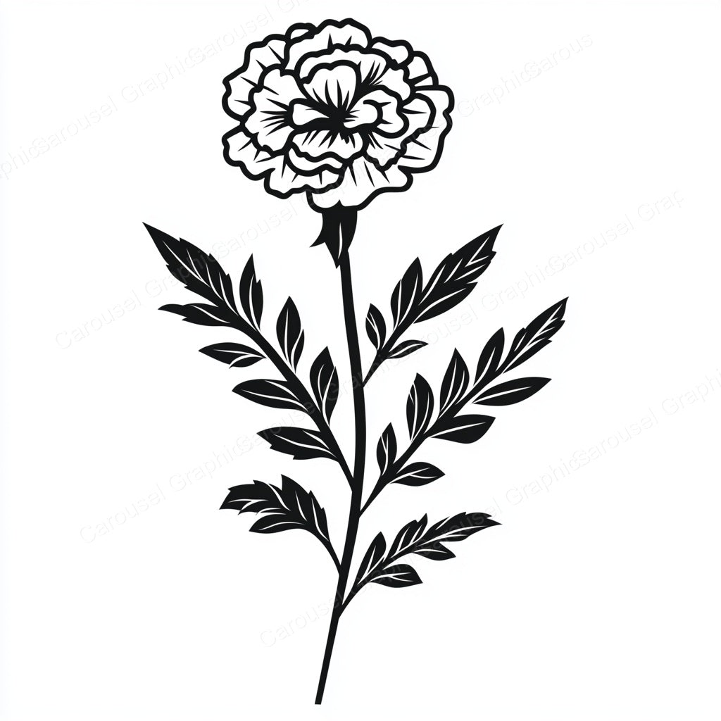 Marigold Vector Graphic preview