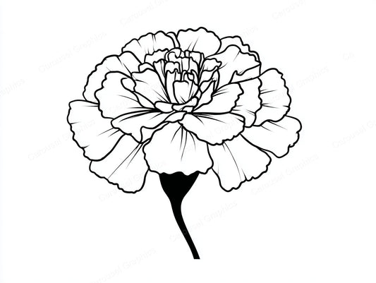 Marigold Vector Graphic preview