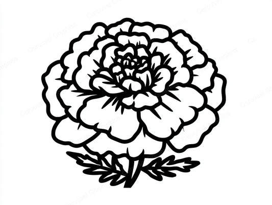 Marigold Vector Graphic preview