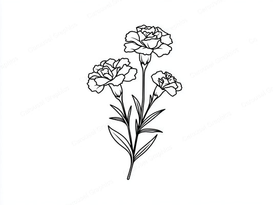Marigold Vector Graphic preview