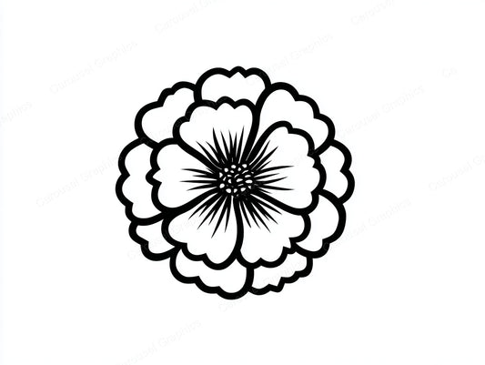 Marigold Vector Graphic preview