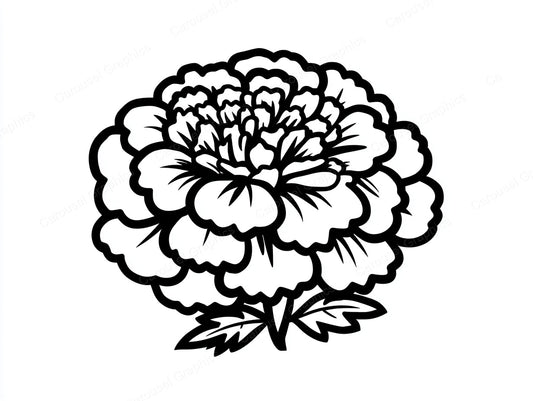 Marigold Vector Graphic preview