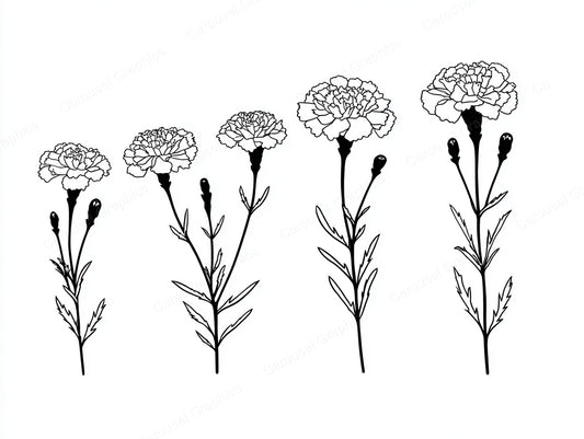 Marigold Vector Graphic preview