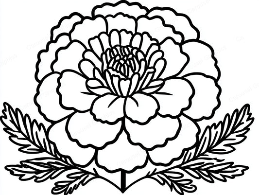 Marigold Vector Graphic preview
