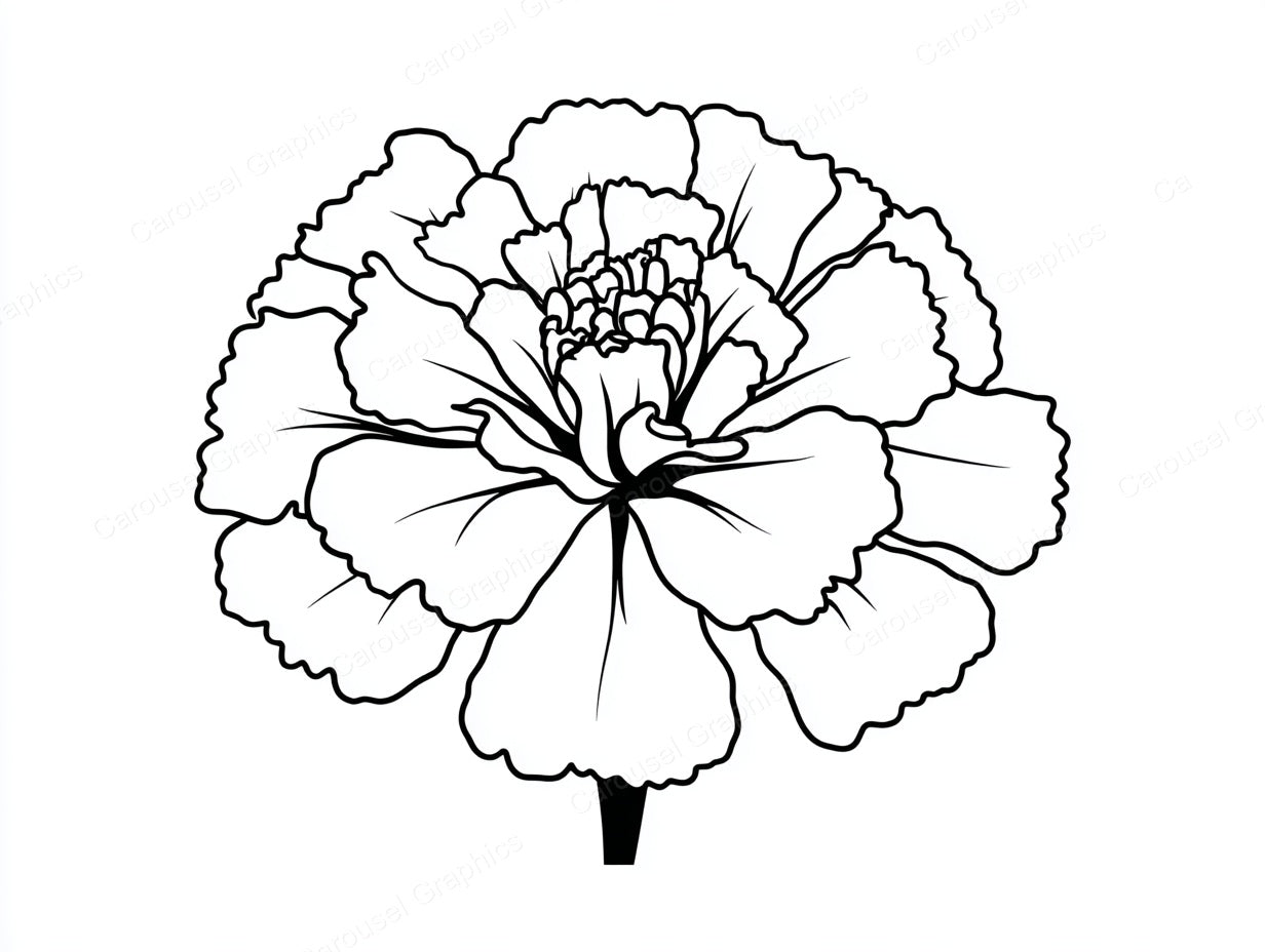 Marigold Vector Graphic preview