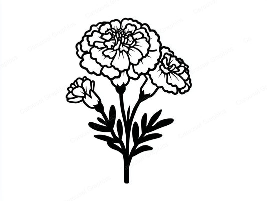 Marigold Vector Graphic preview
