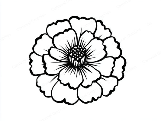 Marigold Vector Graphic preview