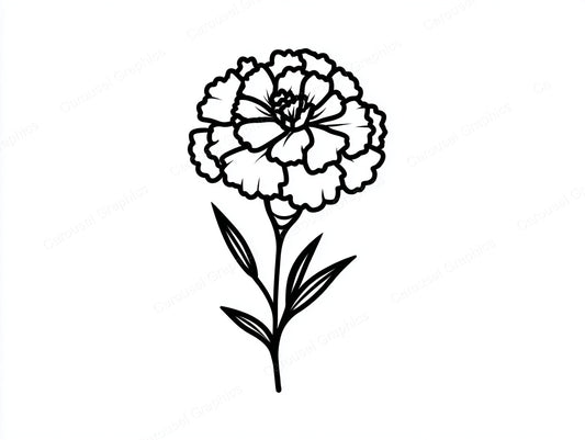 Marigold Vector Graphic preview
