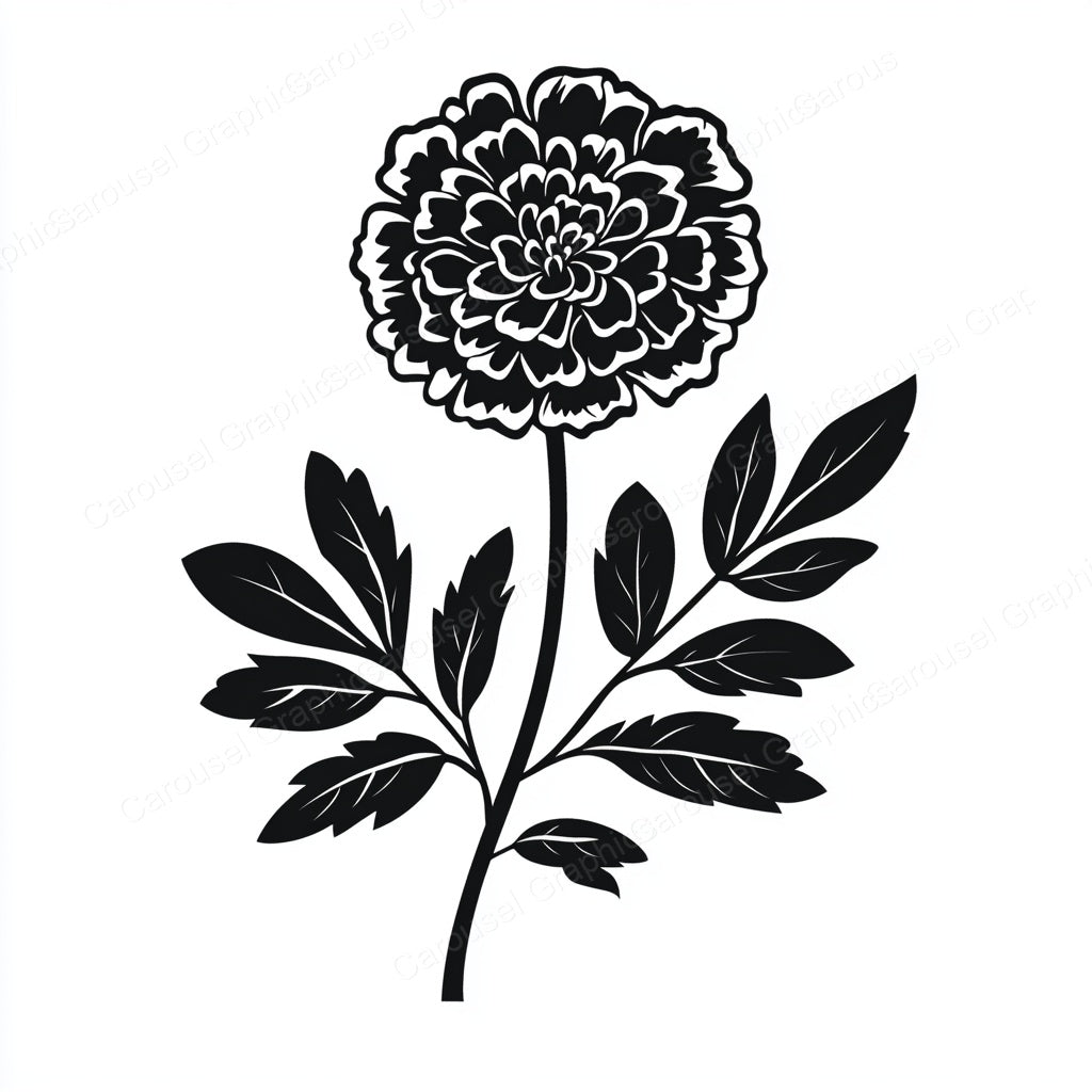 Marigold Vector Graphic preview