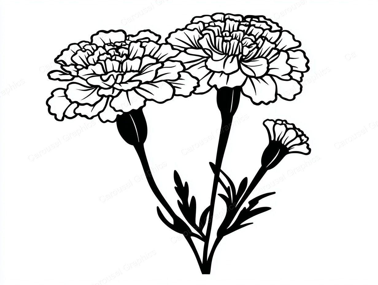 Marigold Vector Graphic preview
