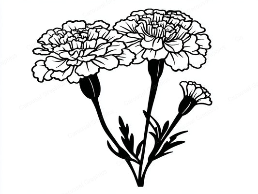 Marigold Vector Graphic preview