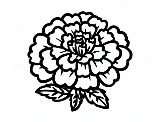 Marigold Vector Graphic preview