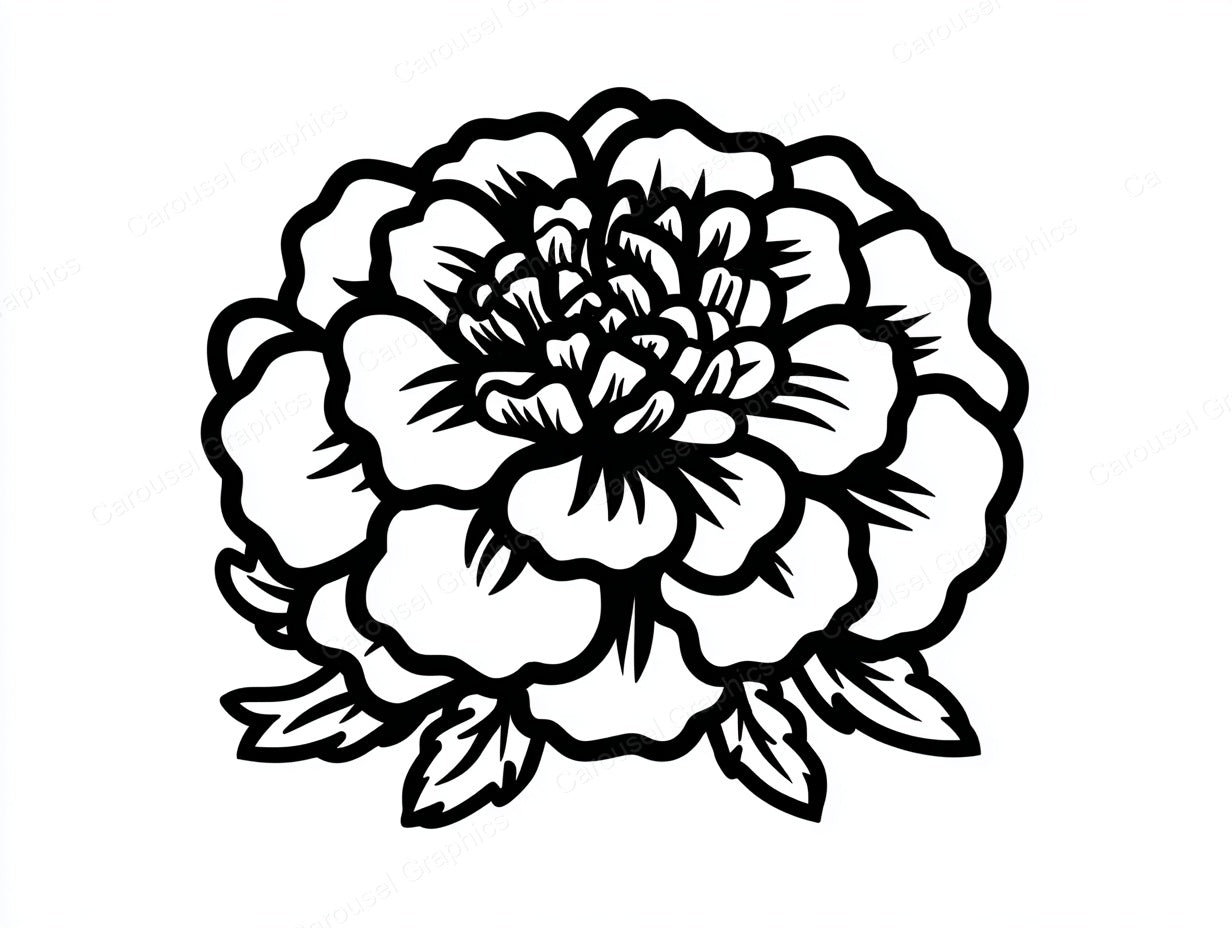 Marigold Vector Graphic preview